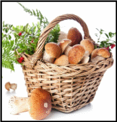 Picture 22