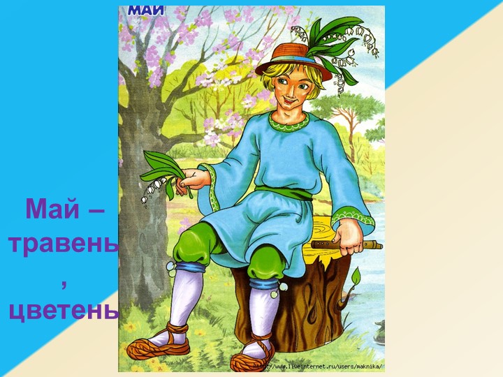 Презентация к занятию в старшей группе по ознакомлению с окружающим миром «Люблю берёзку русскую»