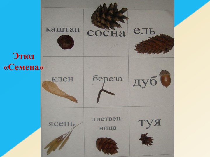 Презентация к занятию в старшей группе по ознакомлению с окружающим миром «Люблю берёзку русскую»