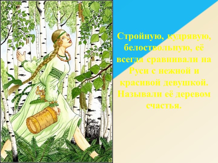 Презентация к занятию в старшей группе по ознакомлению с окружающим миром «Люблю берёзку русскую»