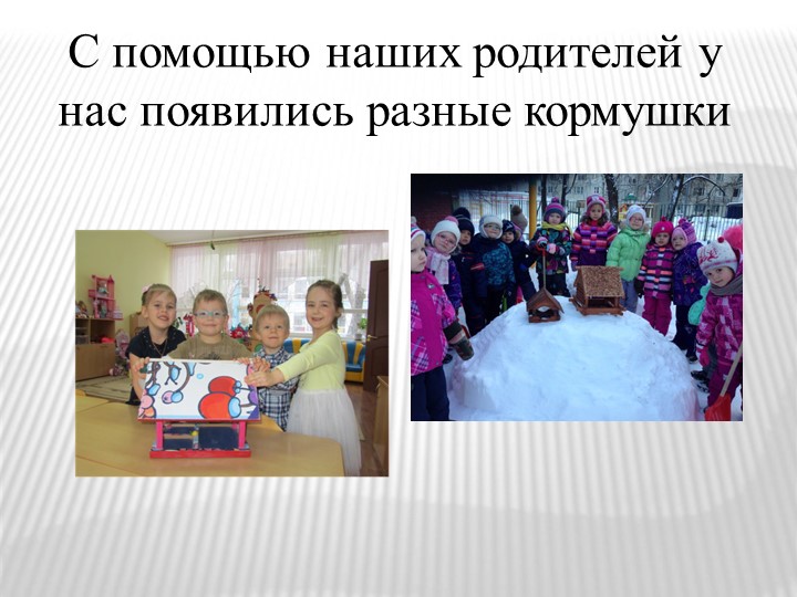 Презентация на тему "Зимующие птицы"