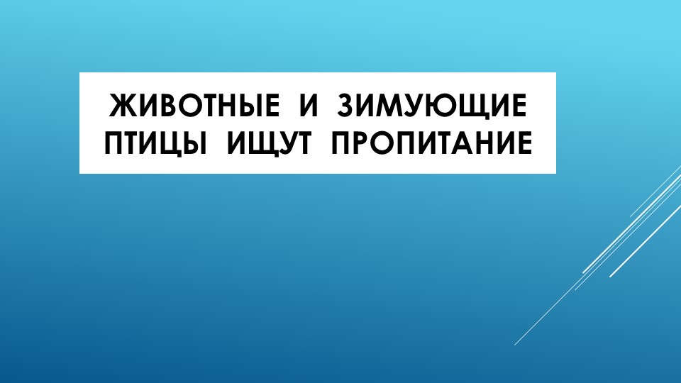 Презентация по развитию речи на тему "Зима" (старшая группа)