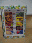 DSCF0530.JPG