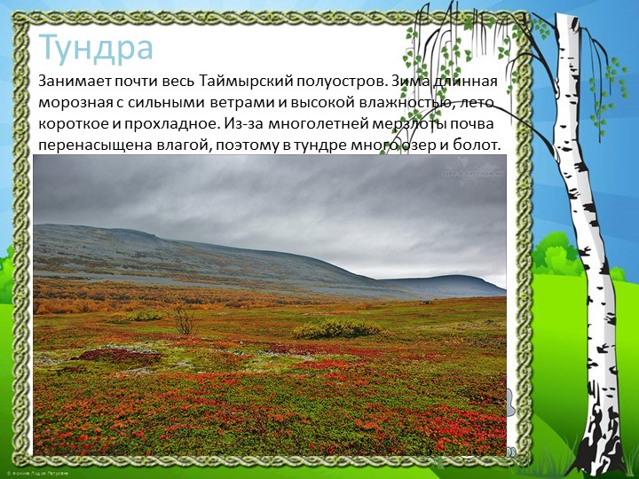 Презентация "Природа Красноярского края"