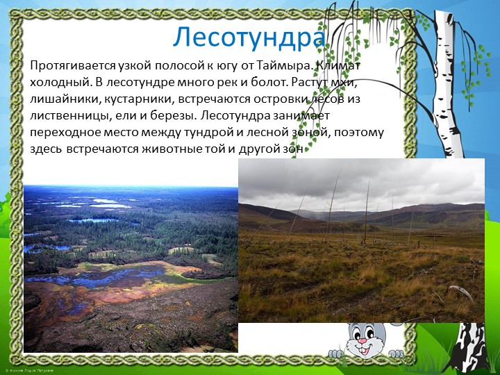 Презентация "Природа Красноярского края"
