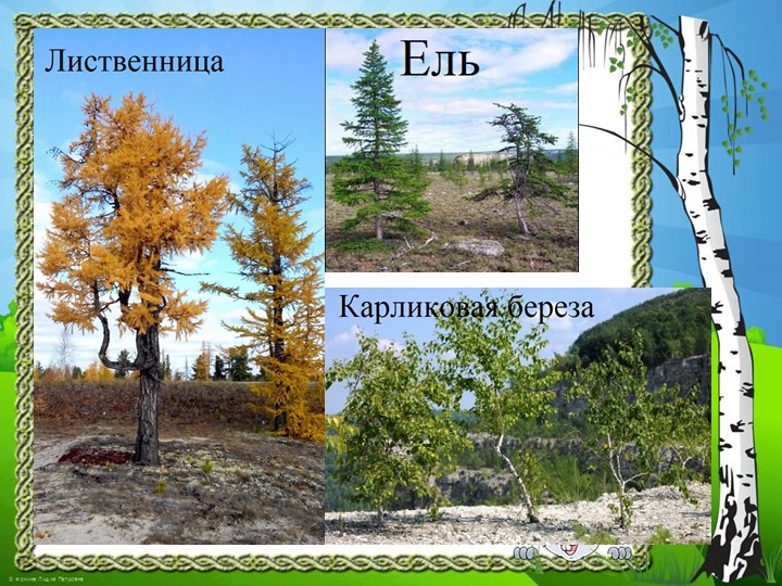 Презентация "Природа Красноярского края"