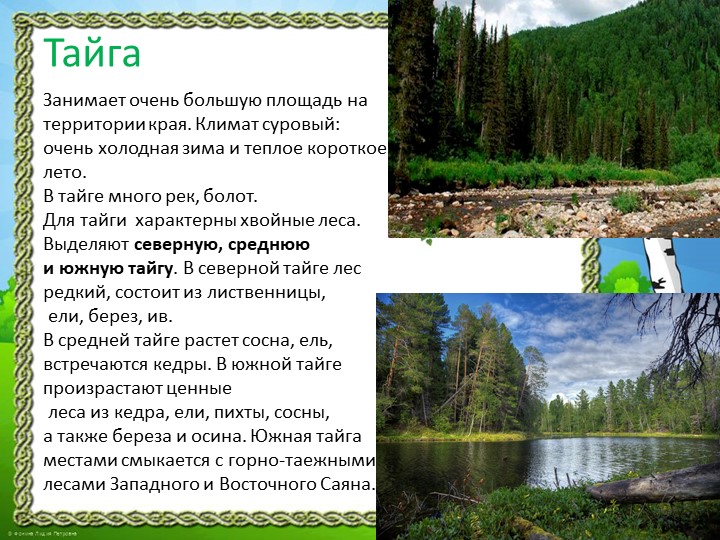 Презентация "Природа Красноярского края"
