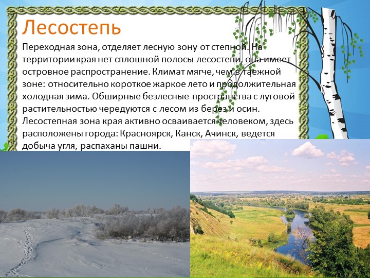 Презентация "Природа Красноярского края"