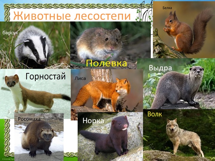 Презентация "Природа Красноярского края"