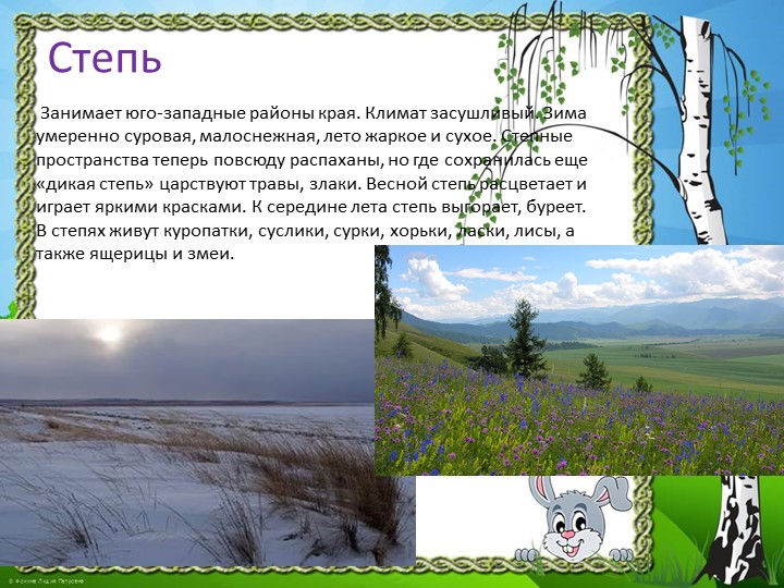 Презентация "Природа Красноярского края"
