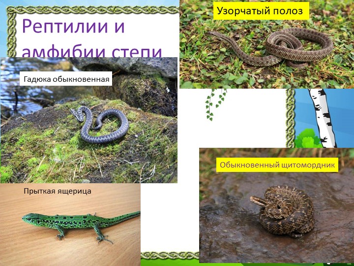 Презентация "Природа Красноярского края"