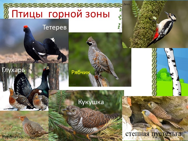Презентация "Природа Красноярского края"
