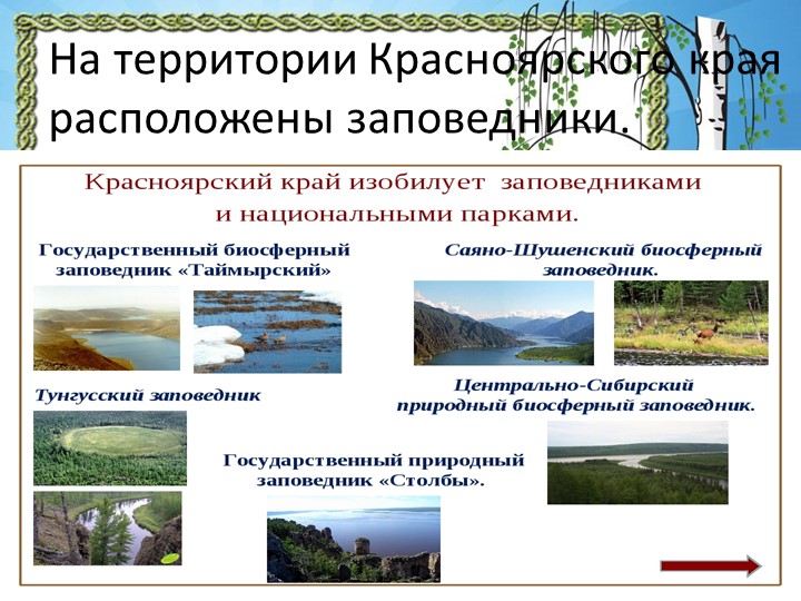 Презентация "Природа Красноярского края"