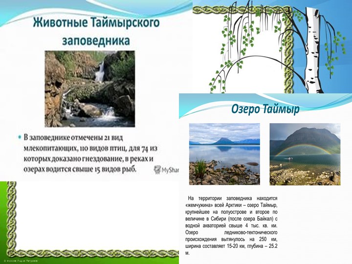 Презентация "Природа Красноярского края"