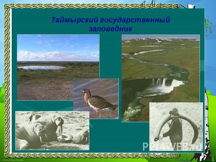 Презентация "Природа Красноярского края"