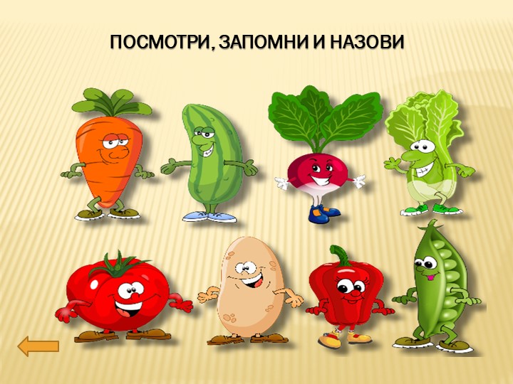 Презентация по познавательному развитию на тему "Огород. Овощи".