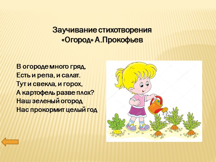 Презентация по познавательному развитию на тему "Огород. Овощи".
