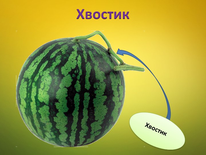 Ознакомление детей среднего дошкольного возраста с арбузом