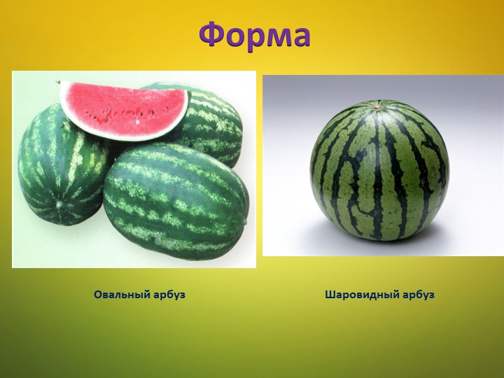Ознакомление детей среднего дошкольного возраста с арбузом