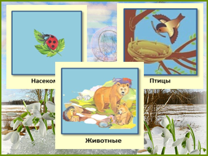 Презентация "Признаки Весны" Итоговое занятие с детьми.