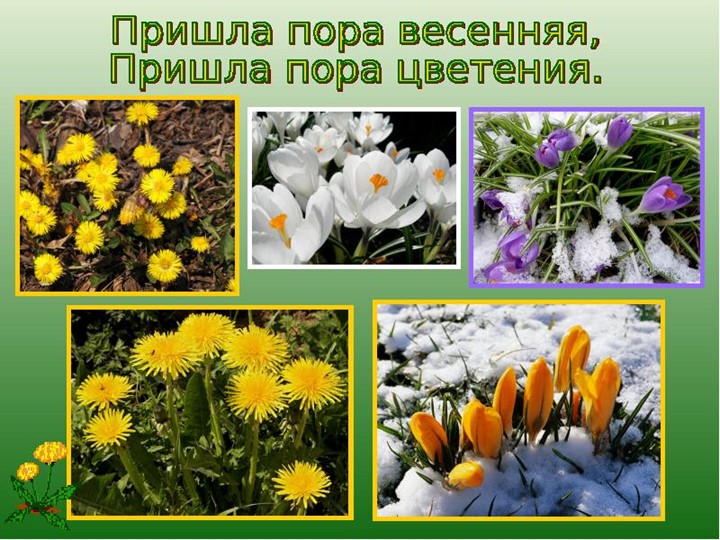 Презентация "Признаки Весны" Итоговое занятие с детьми.