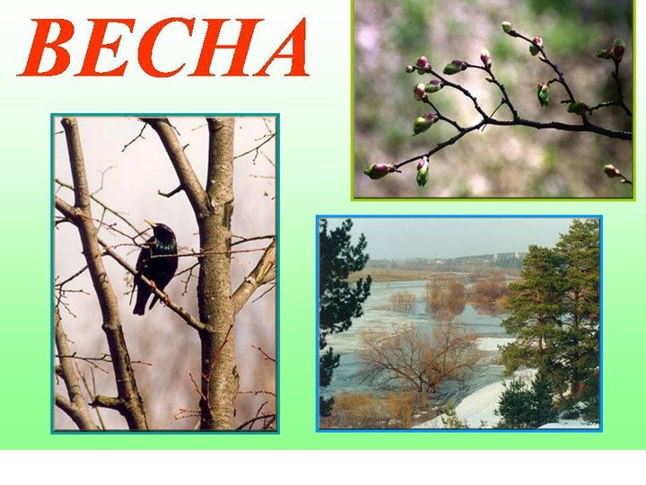 Презентация "Признаки Весны" Итоговое занятие с детьми.