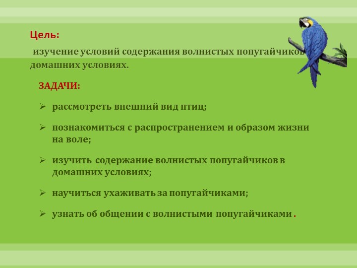 Интеллектуально-творческая игра "Экоколобок " Проект "Мои любимцы"