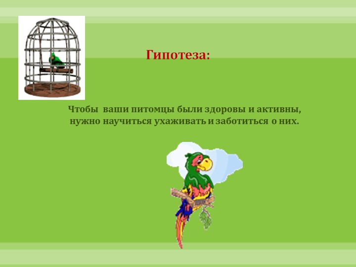 Интеллектуально-творческая игра "Экоколобок " Проект "Мои любимцы"