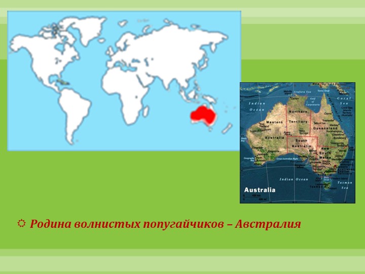 Интеллектуально-творческая игра "Экоколобок " Проект "Мои любимцы"