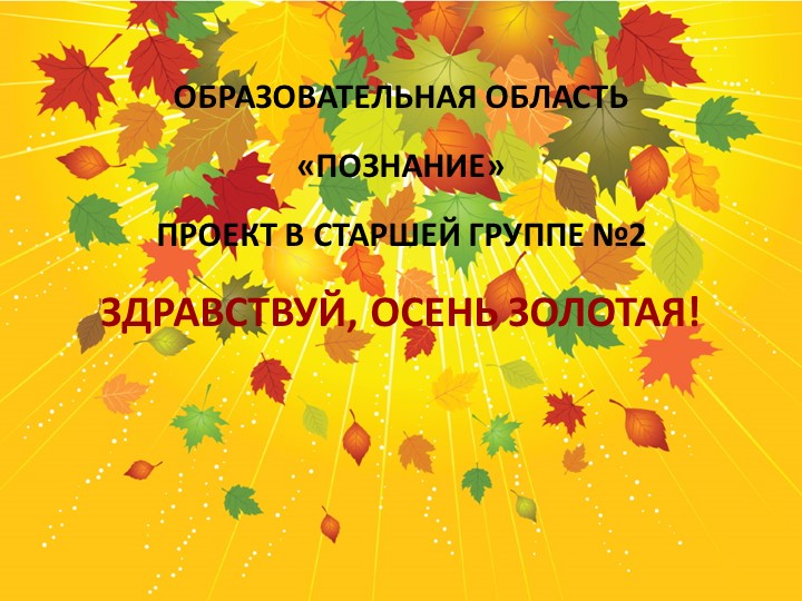 Презентация проекта в старшей группе " Здравствуй, осень золотая!"