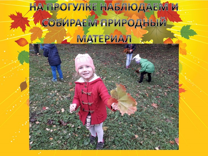 Презентация проекта в старшей группе " Здравствуй, осень золотая!"