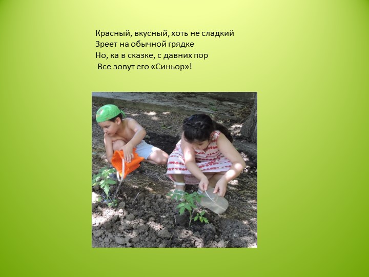 Фото- презентация к проекту по экологии в подготовительной к школе группы детского сада «Я и природа»