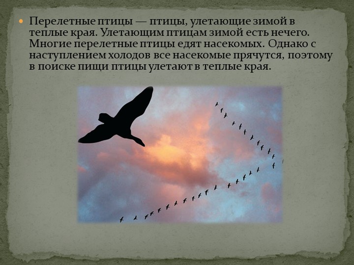 Презентация: "Перелётные птицы" средняя группа
