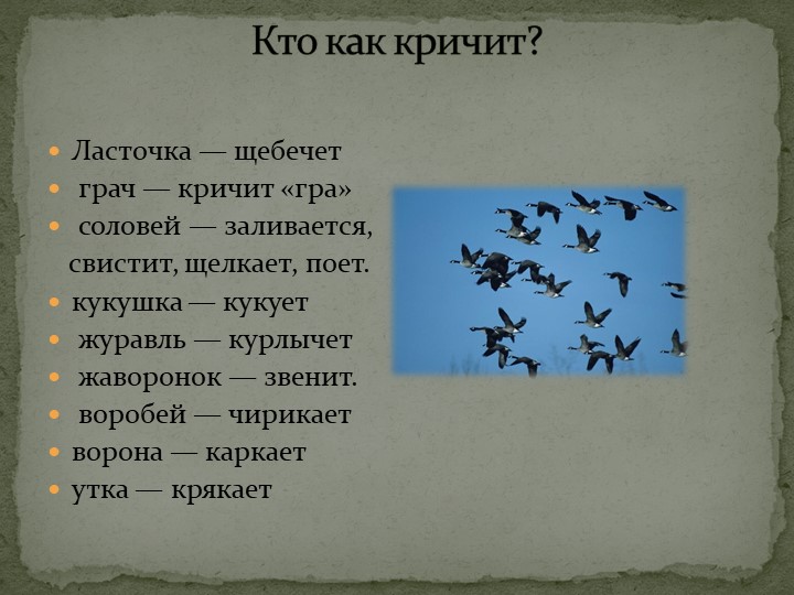 Презентация: "Перелётные птицы" средняя группа