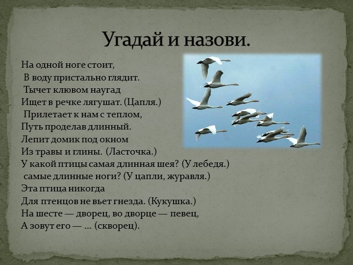 Презентация: "Перелётные птицы" средняя группа