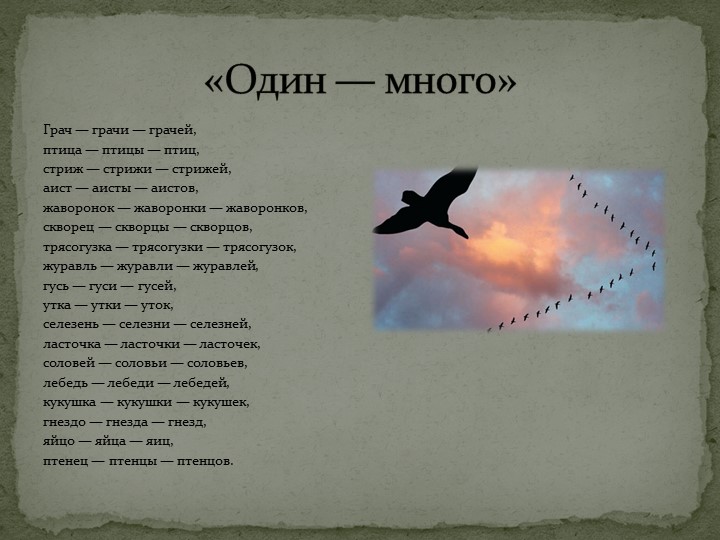 Презентация: "Перелётные птицы" средняя группа