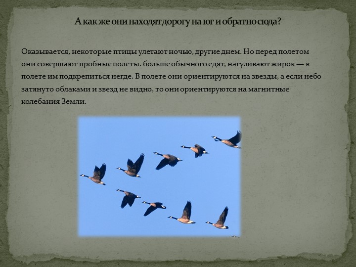 Презентация: "Перелётные птицы" средняя группа