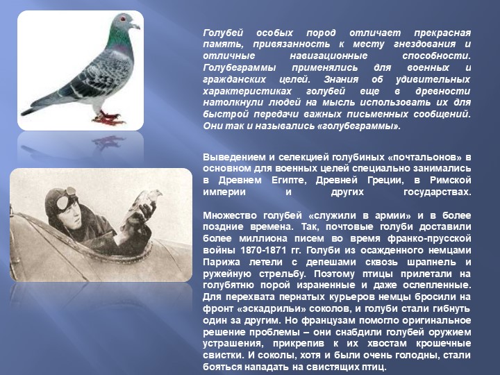 ОТКРЫТОЕ ЗАНЯТИЕ ПО РАЗВИТИЮ РЕЧИ ДЛЯ ДЕТЕЙ 3-4 ЛЕТ