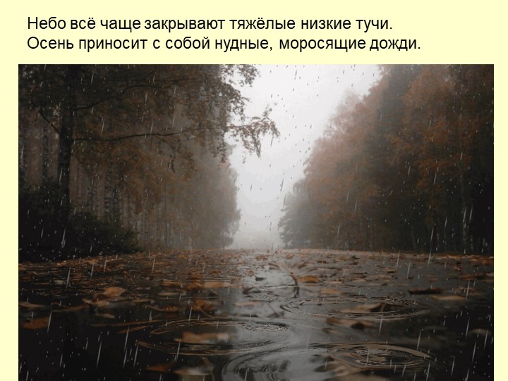 Презентация Осень для детей средней группы