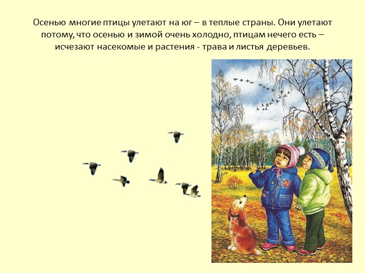 Презентация Осень для детей средней группы
