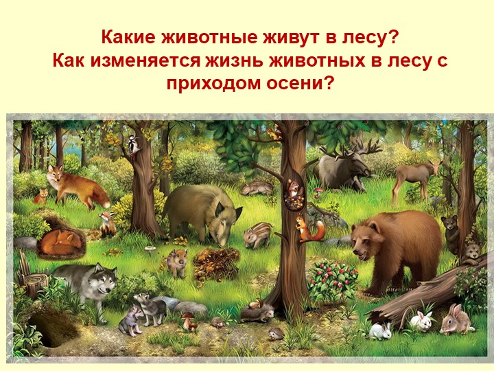 Презентация Осень для детей средней группы