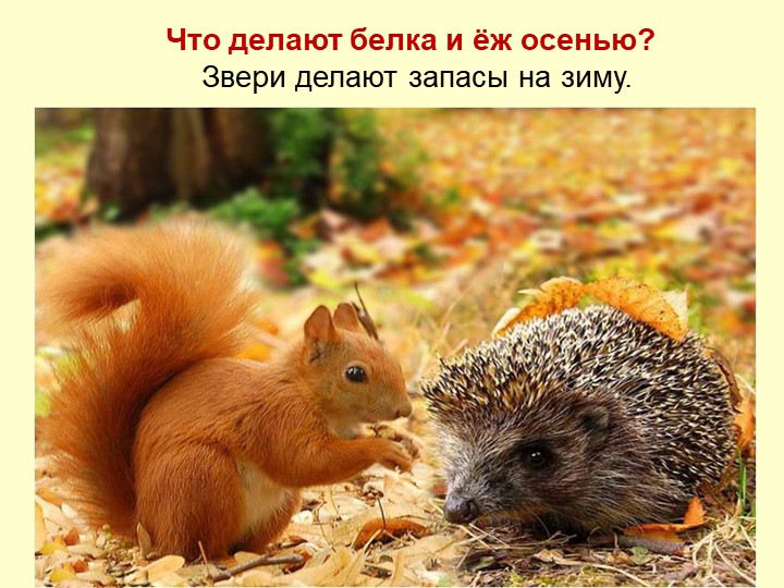 Презентация Осень для детей средней группы