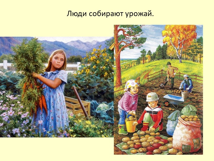 Презентация Осень для детей средней группы