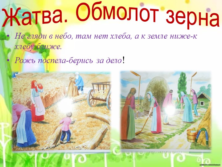 Проект "Как наши предки выращивали хлеб"