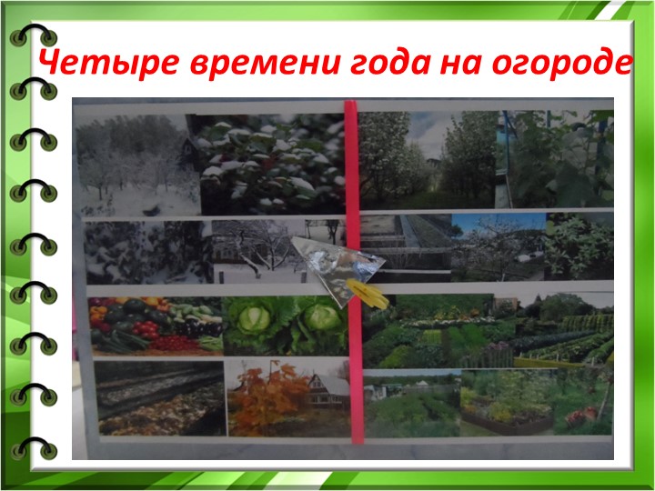 Презентация "ЛЭПБУК как средство развития познавательных способностей детей младшего дошкольного возраста"