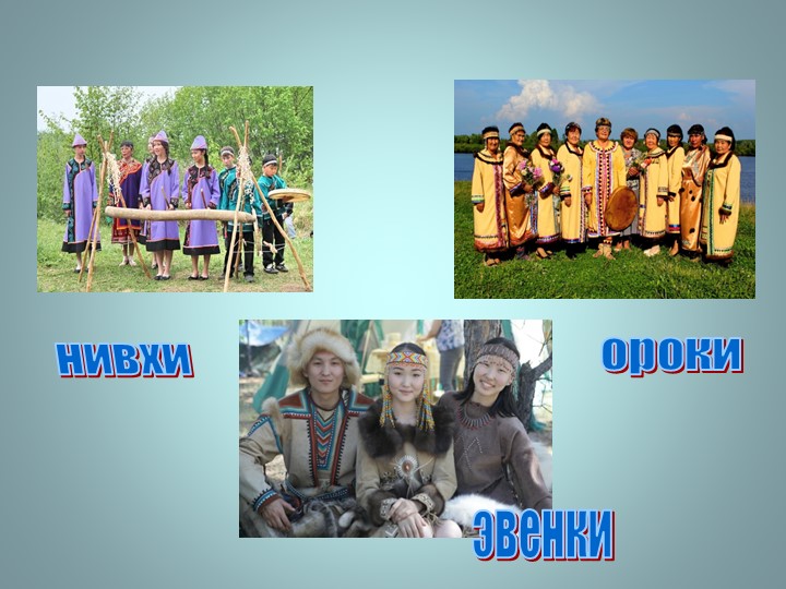 Презентация "Викторина о Ногликах"