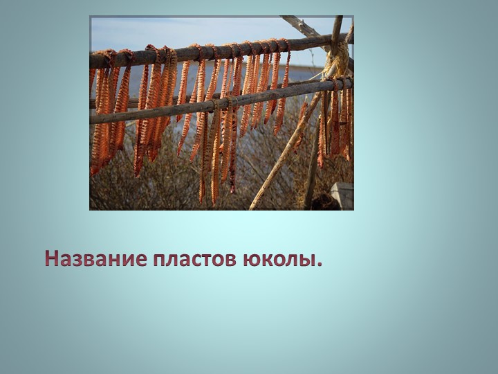 Презентация "Викторина о Ногликах"