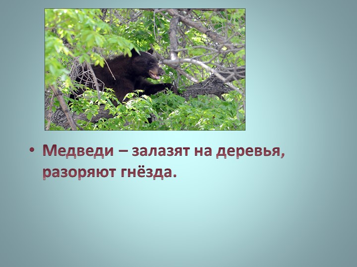 Презентация "Викторина о Ногликах"