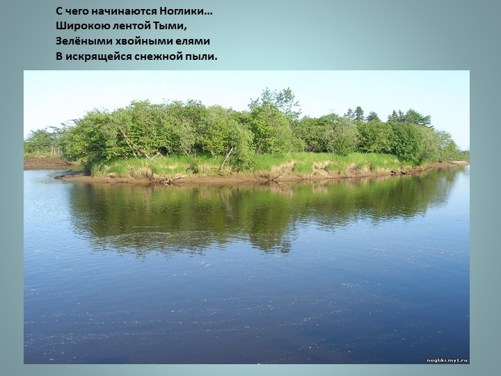 Презентация "Викторина о Ногликах"