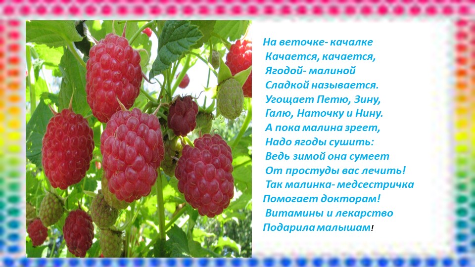 Презентация "Витаминная семья" средний дошкольный возраст